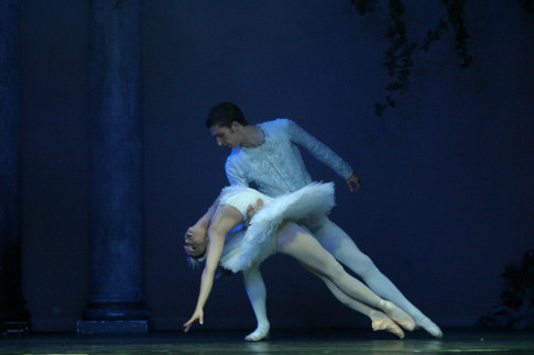 Dying Swan