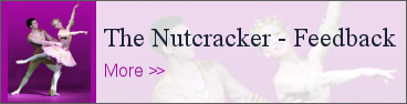 Nutcracker Feedback